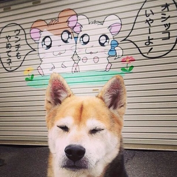 暗夜之光与疆场烽火,一场跨越时空的篮球血脉交响