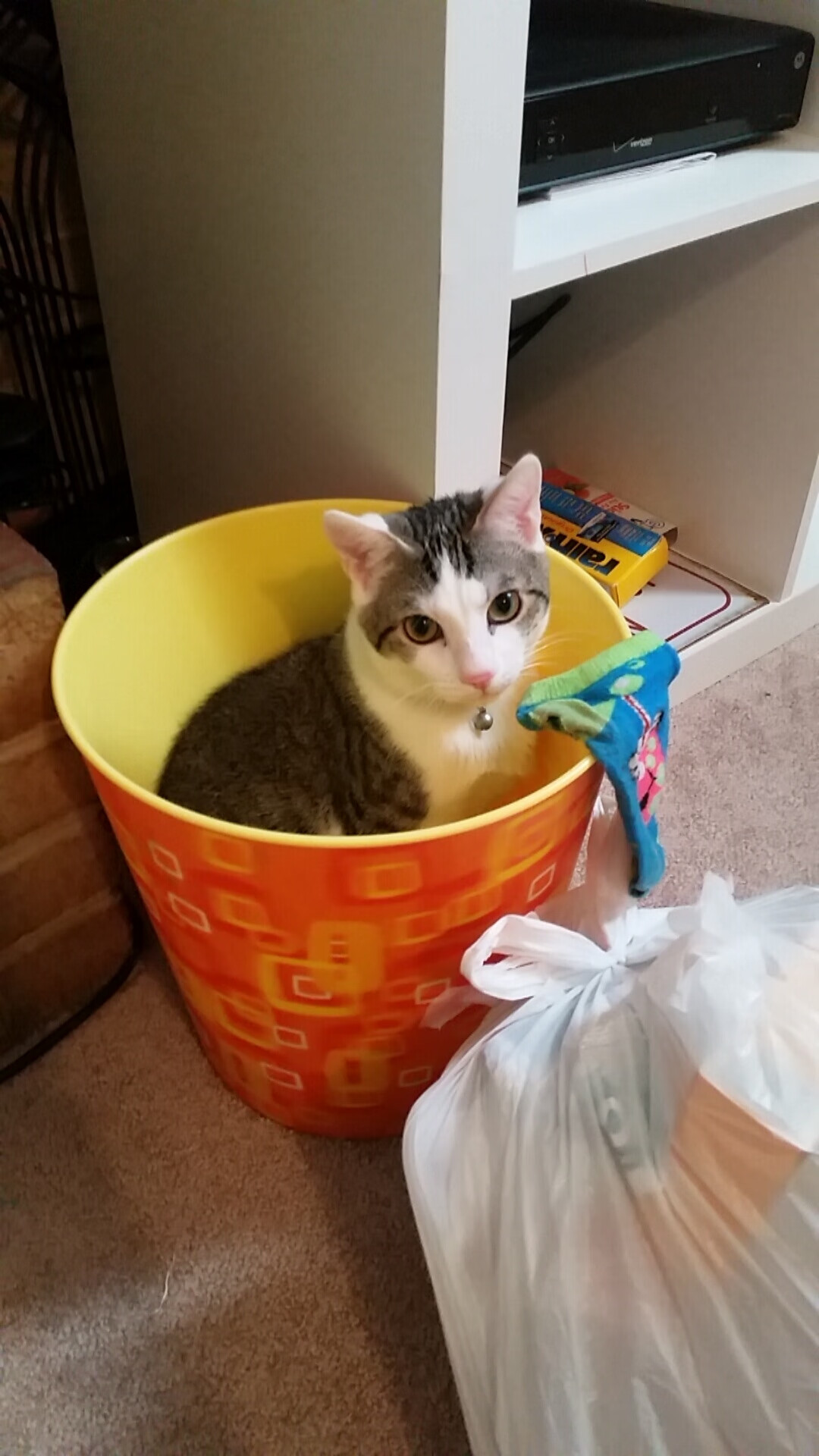 暗夜之光与疆场烽火,一场跨越时空的篮球血脉交响