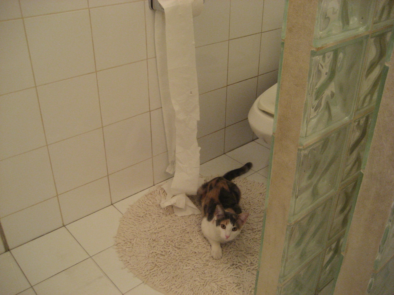 巨人杀手再现！吉林绝杀上海，莫兰特超神一投封神