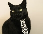 节奏大师卡拉斯科！焦点夜主导逆转，他的脉搏就是全队的脉搏