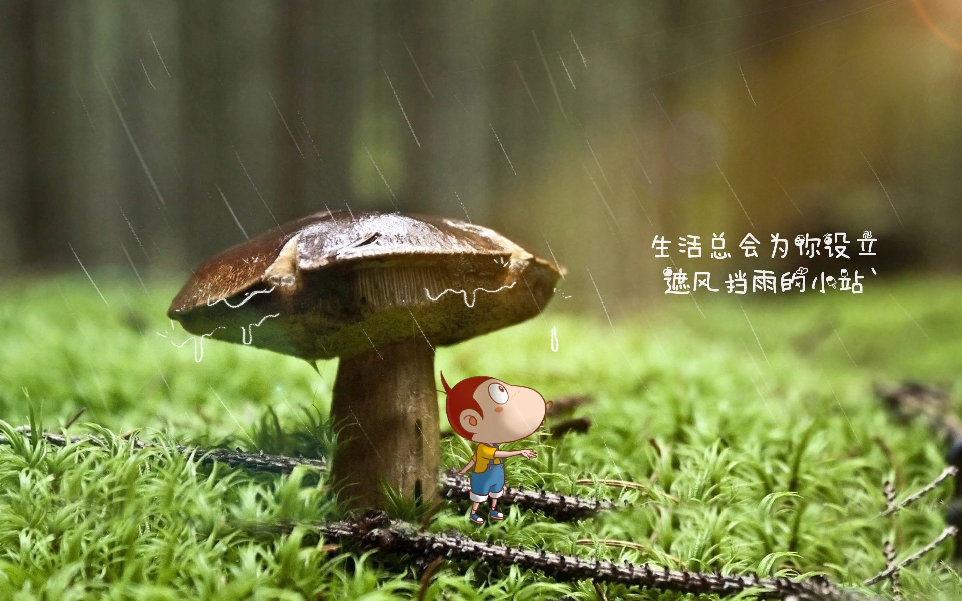 2026世界杯焦点日，奥地利血洗波兰，姆巴佩独掌乾坤—两场生死战如何改写小组格局