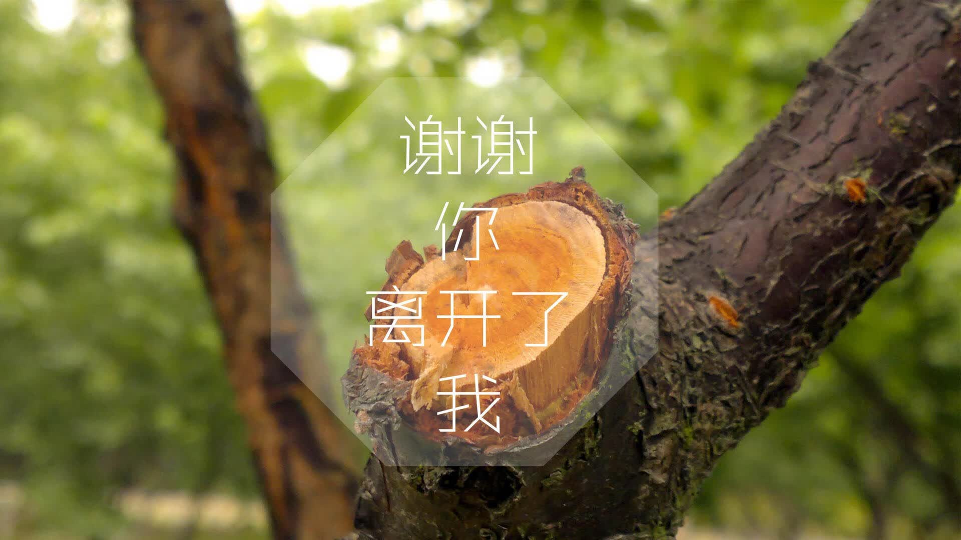 唯一的神话，2026世界杯生死战，福登的逆天改命与日本横扫墨西哥的史诗之夜
